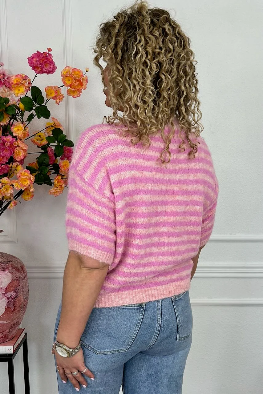 Miniatuur 3